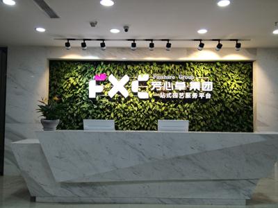关于芳心草 关于芳心草