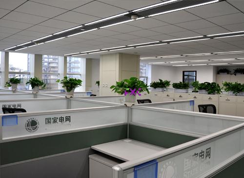 国家电网-芳心草园艺