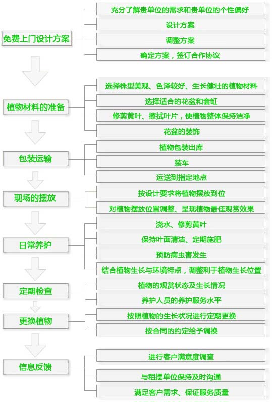 芳心草服务流程