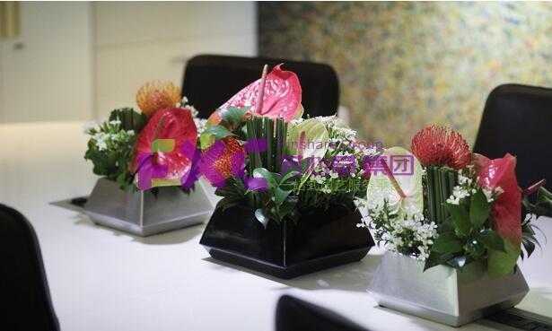 成都米罗缤纷花艺案例