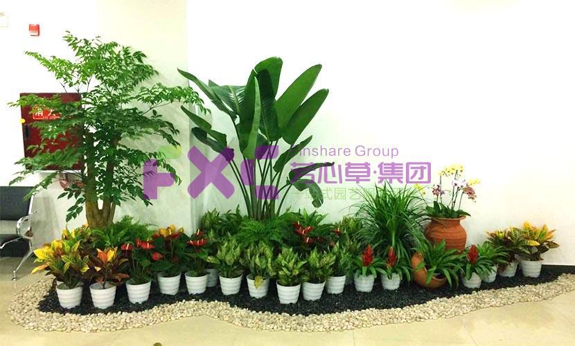 京东植物租摆案例