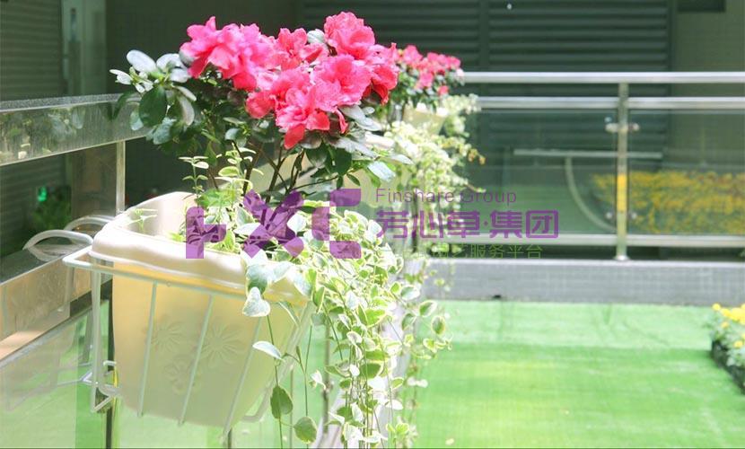 京东植物租摆案例