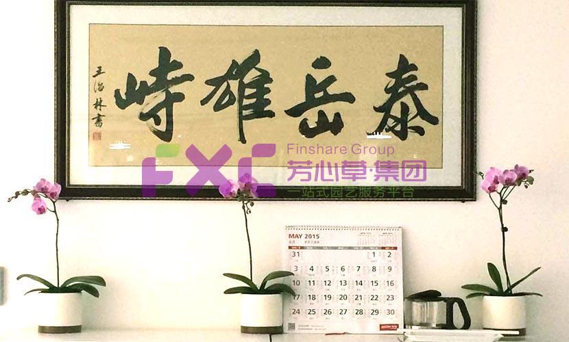 京东植物租摆案例