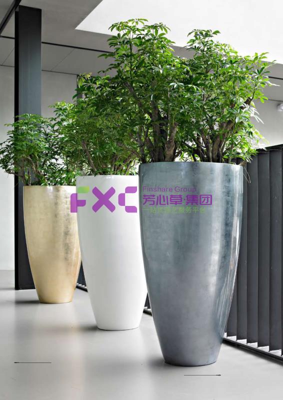 成都市第一人民医院植物租摆案例