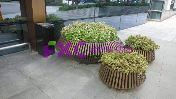 民生银行植物租摆案例