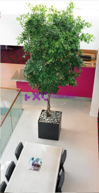 仲量联行植物租摆案例