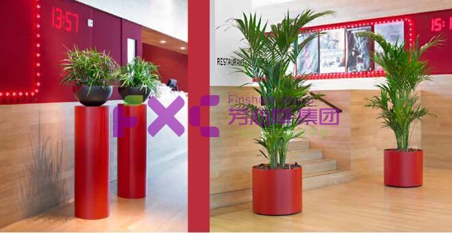 仲量联行植物租摆案例