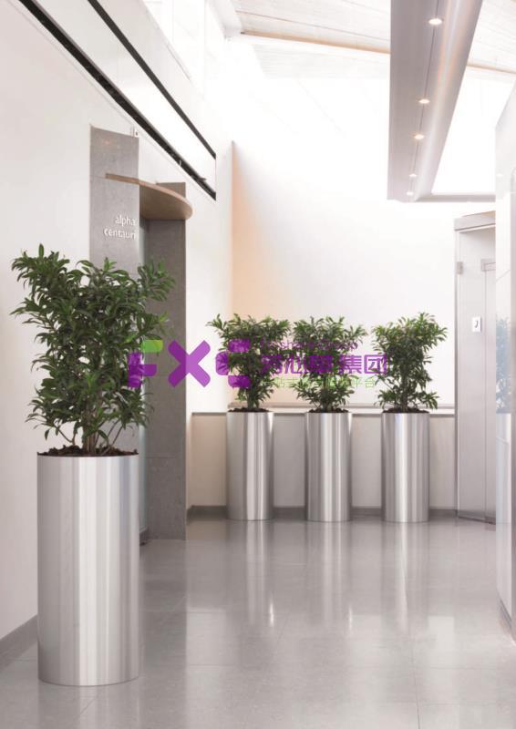 中国农业银行植物租摆案例