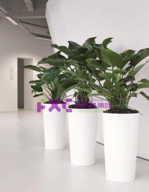 中国农业银行植物租摆案例