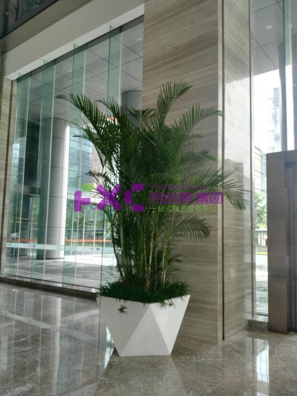 中国农业银行植物租摆案例
