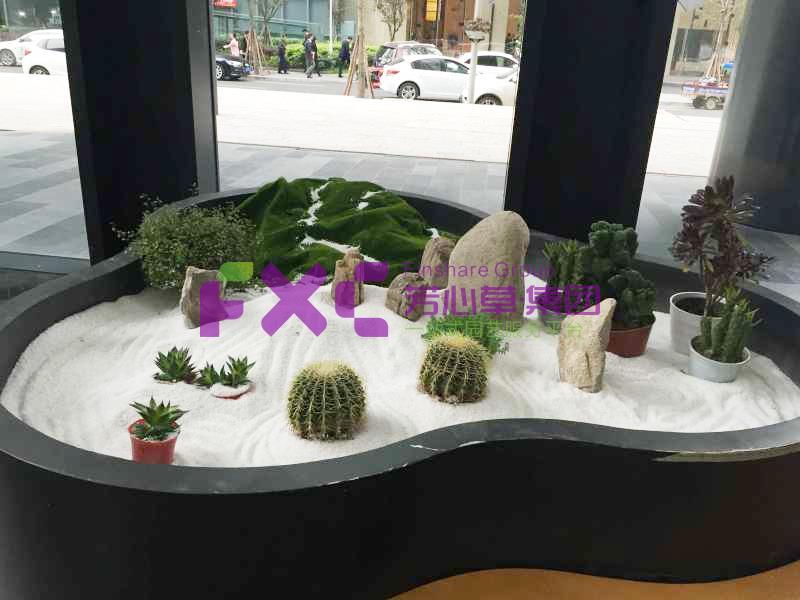 中国人寿植物租摆案例