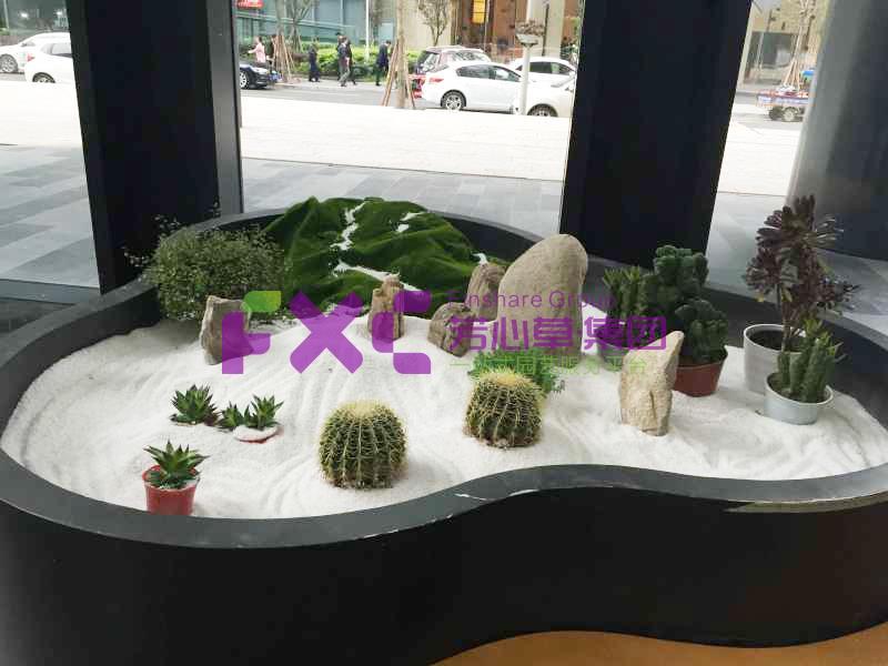 写字楼植物租摆效果图