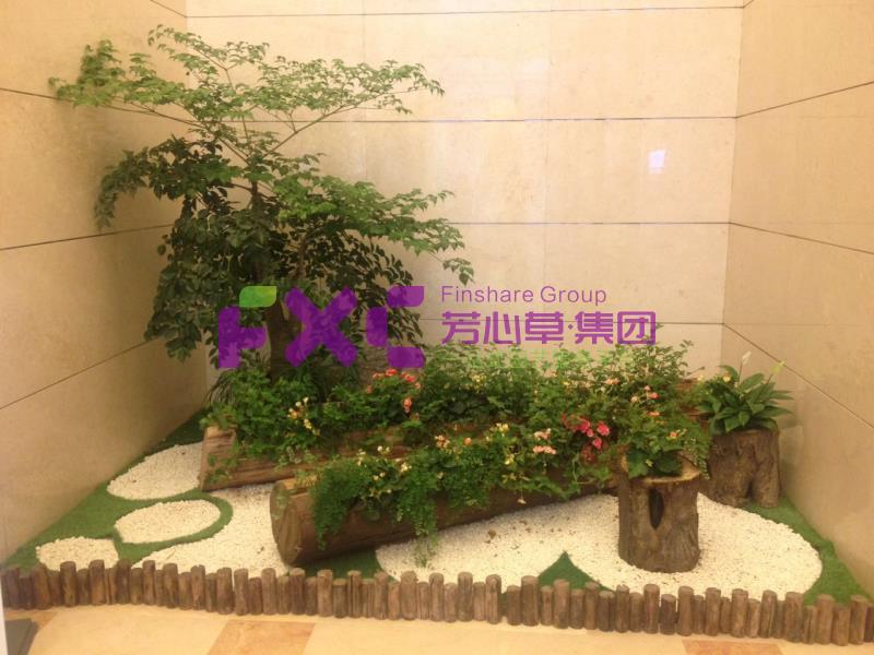 成都植物租摆效果图