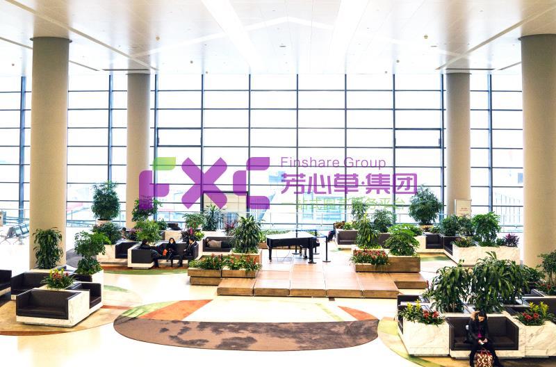 植物租赁案例图