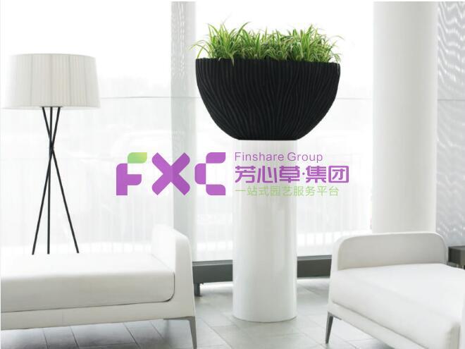 西南建筑设计院植物租摆案例