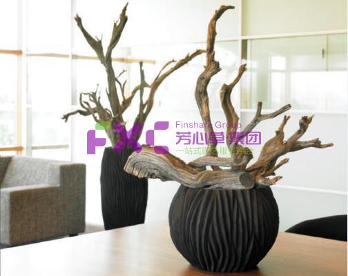 西南建筑设计院植物租摆案例