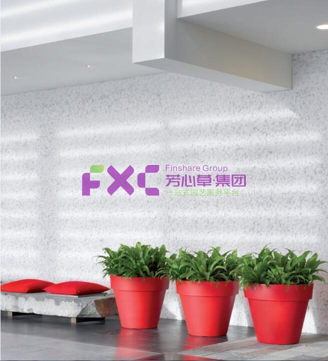 蓝光植物租摆案例