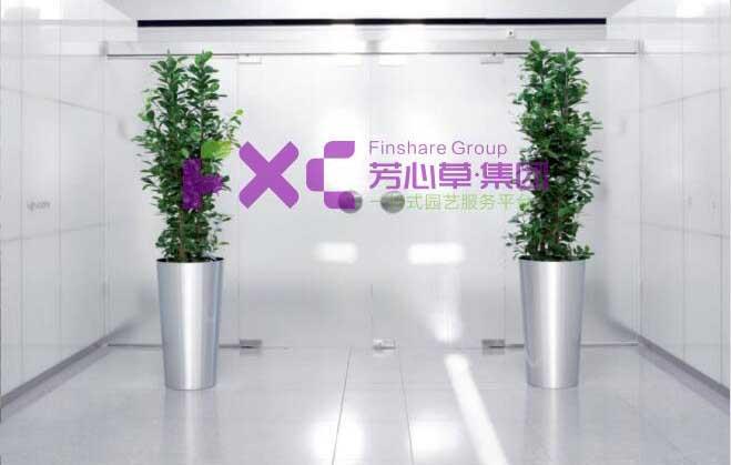 蓝光植物租摆案例