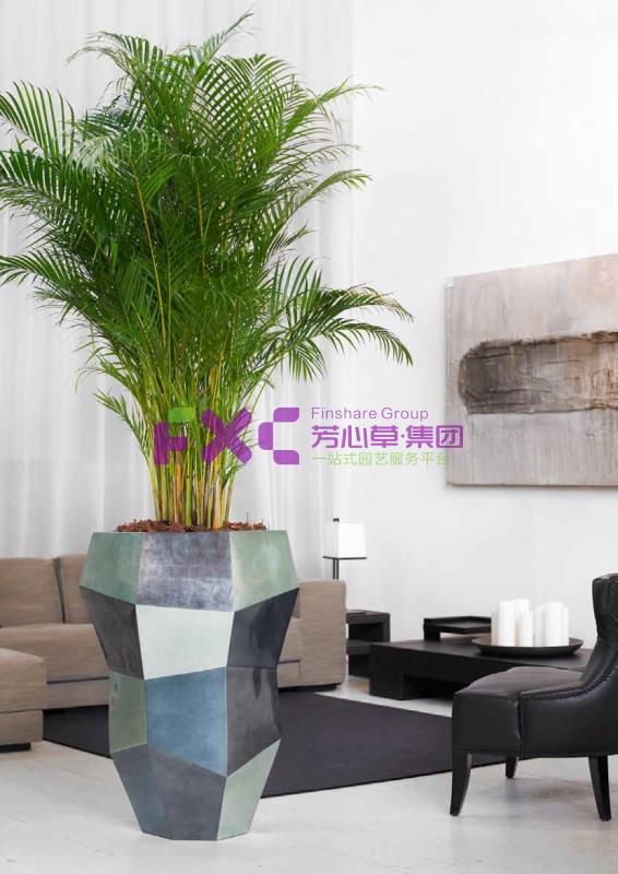 哈尔滨银行植物租摆案例
