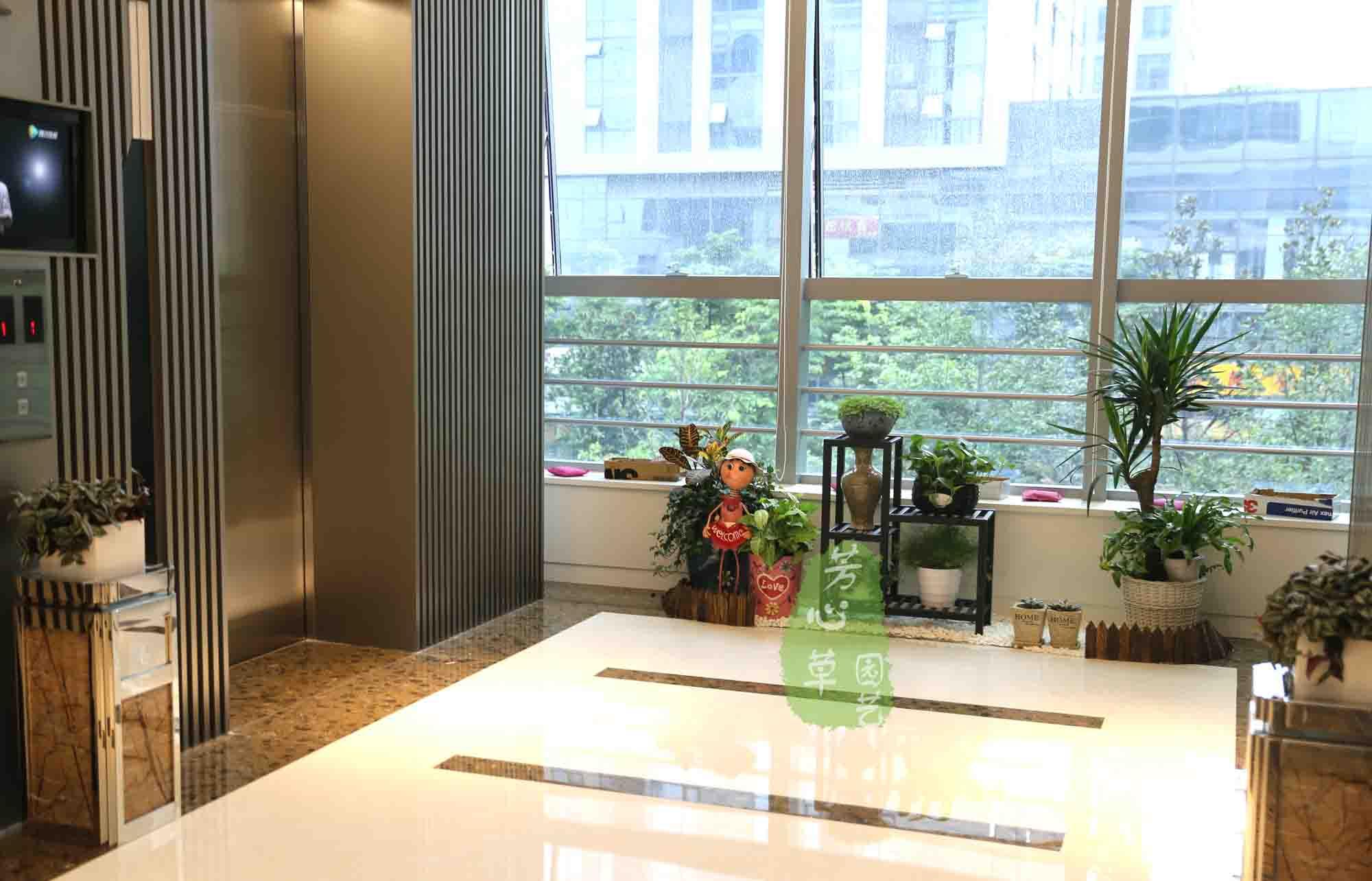 通用地产植物租摆案例