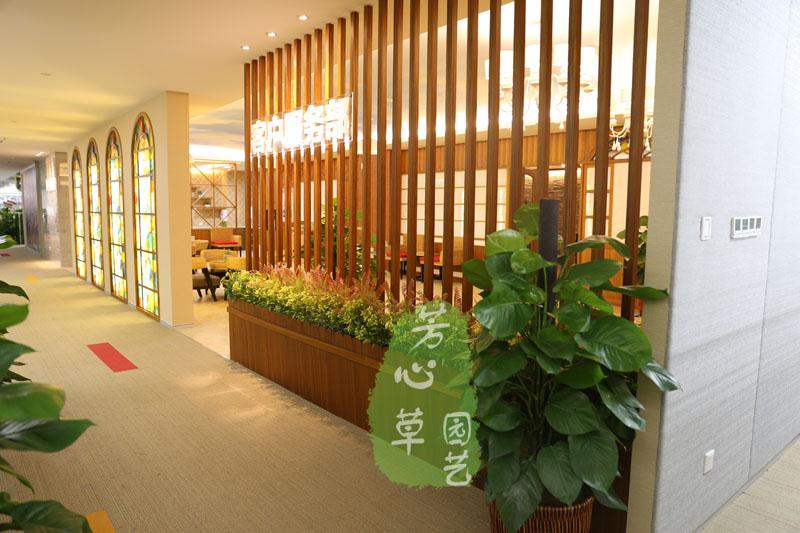中国移动植物租摆案例