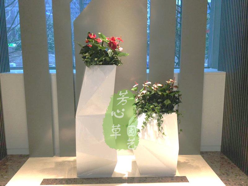 其他组合景观植物租摆案例